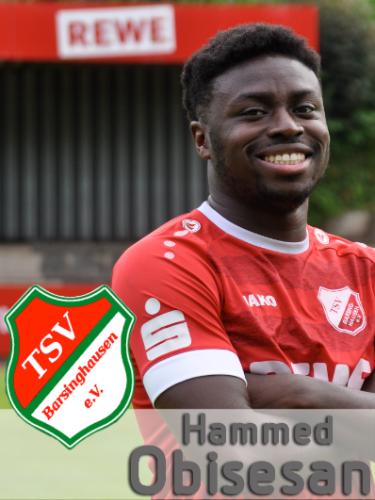 Hammed Obisesan