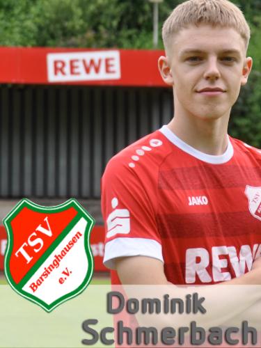 Dominik Schmerbach