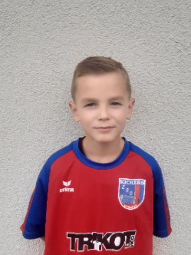 Emilian Ernst Wartmann