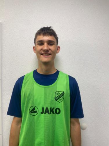 Petar Krajinovic