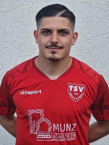 Nemanja Milenovic