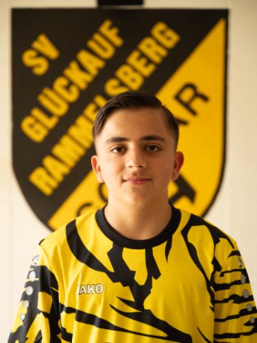 Arian Mohamed