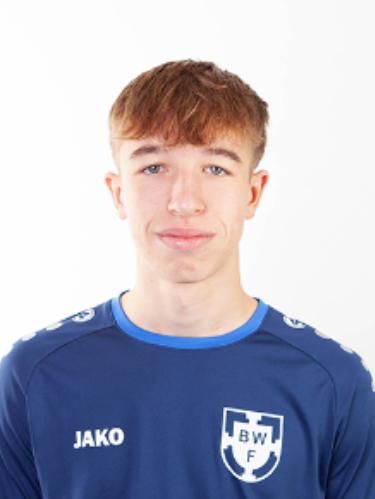 Paul Louis Stephan Alt