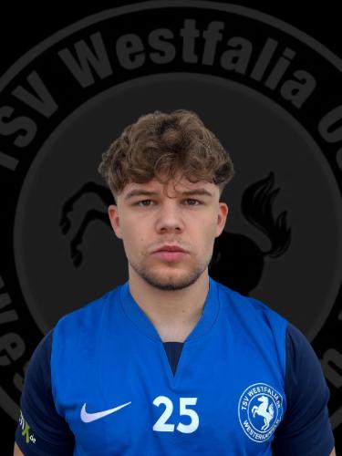 Nico Noel Ferreira Krall