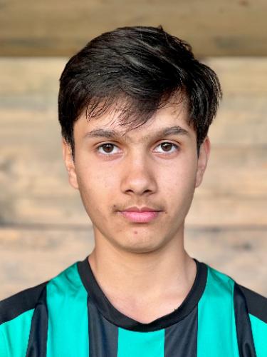 Mostafa Hesham Walizada