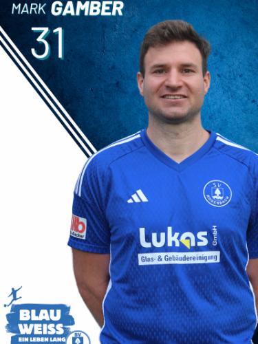 Mark Gamber