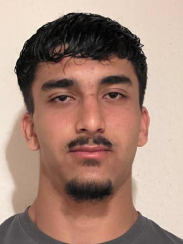 Ramin Ahmadi
