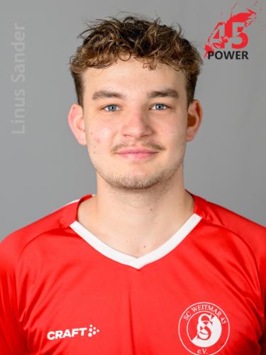 Linus Sander