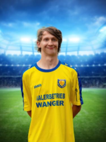 Louis Simon Voll