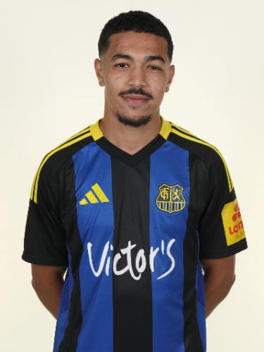 Chafik Gourichy