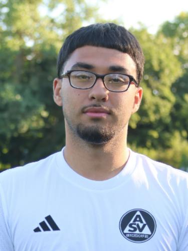 Parsa Rafiei Ashiani