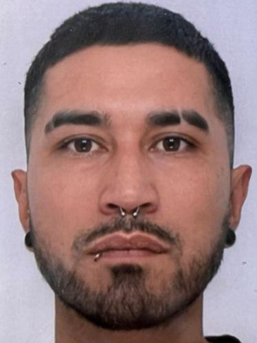 Manuel Alejandro Fernandez