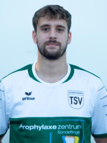 Telmo Crespo Rodrigues