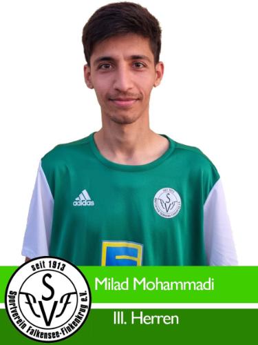 Milad Mohammadi