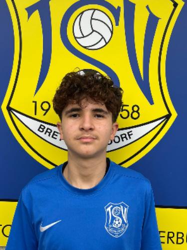 Malek Mohamed Mohamed Elmasry