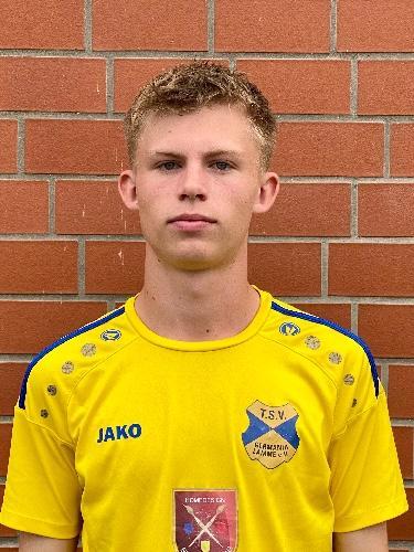 Niklas Luis Dammermann
