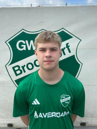 Hannes Westerhoff