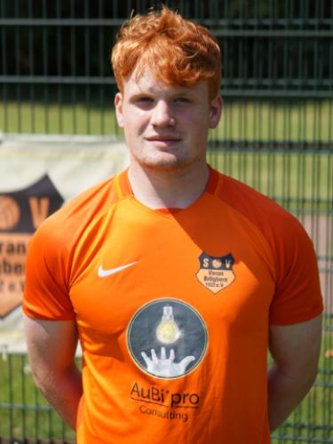 Henrik Pollmann