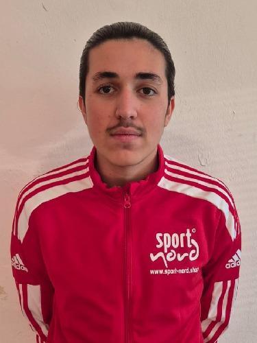 Hamid Audi