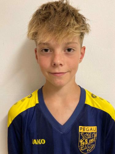 Theo Johannes Wetzel