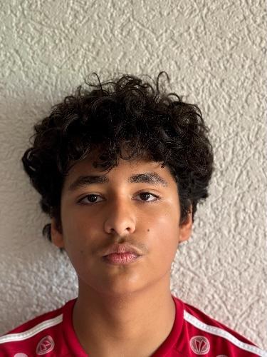 Gabriel Mendes Ribeiro