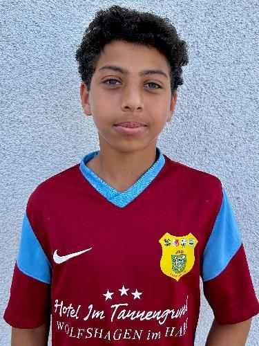 Ziad Mahmoud Basha Mohamed