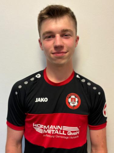 Fabian Heinrich