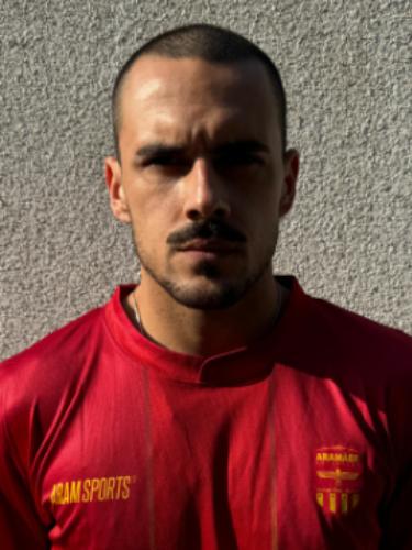 Mirza Halilagic
