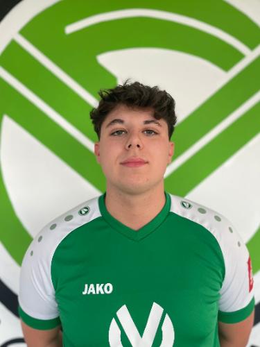 Nemanja Pavlovic