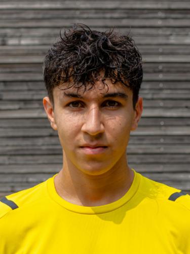 Malik Ali