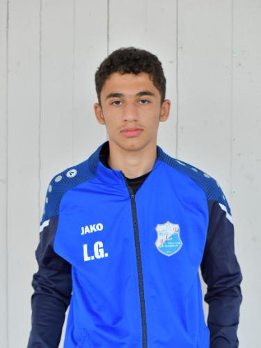 Khalil Fares Alhaj Ali