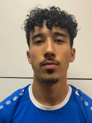 Paul Felix Badawi