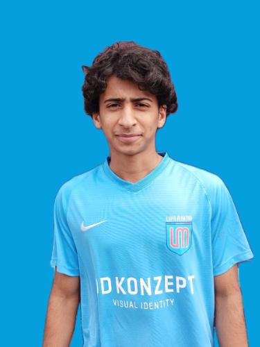 Mahmoud Kaabi