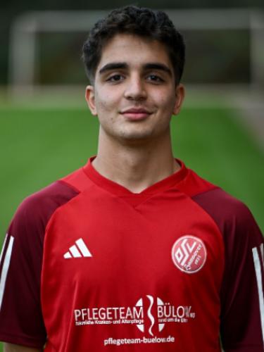 Seyed Mohammad Rafizadah