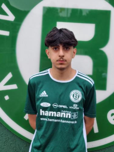 Amir Hussein Goljany