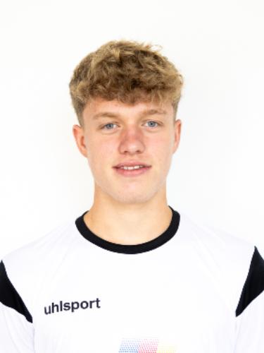 Luis Leonard Hitzegrad