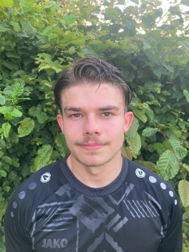 Lino-Ole Leneweit