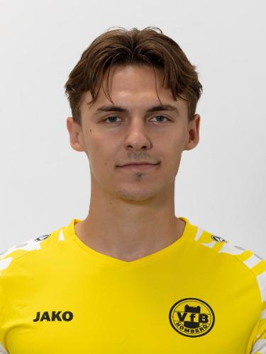 Henrik Scheibe