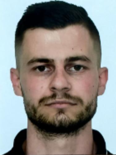 Dino Fisekovic