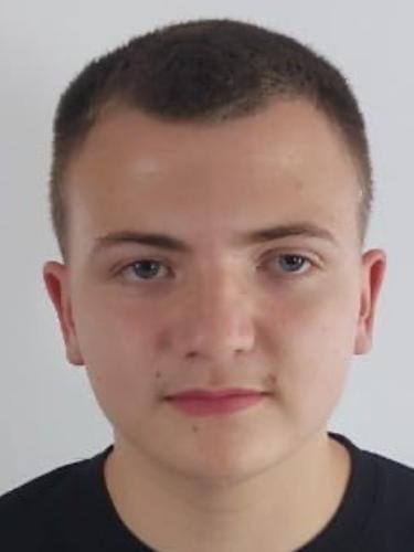 Noah Boll