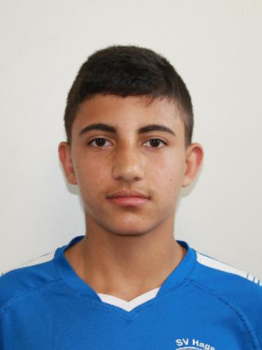 Hamed Alsharif