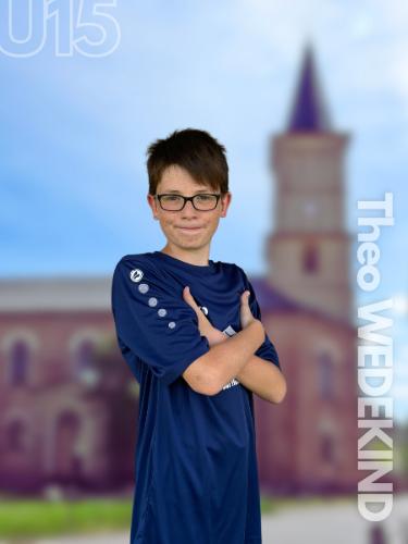 Theo Wedekind
