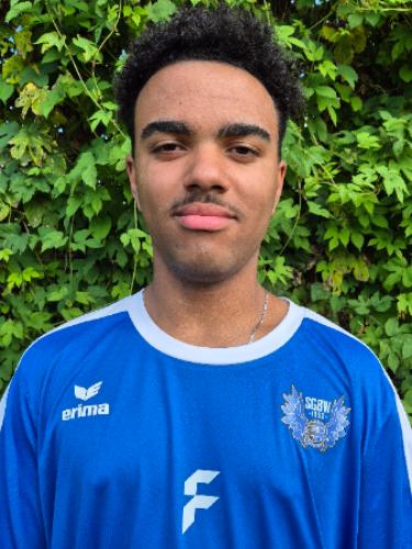 Darnell Yves Landry Sehoulou