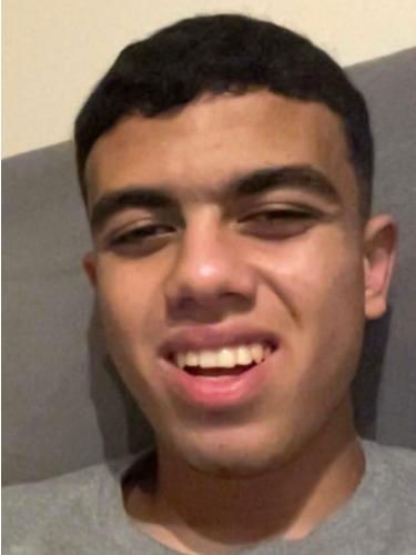 Mohamed Emad Gamaleldin Elhakim