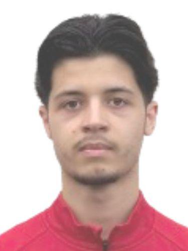 Emir Ipek