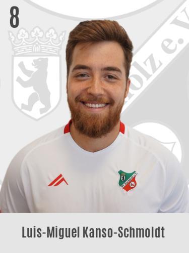 Luis Miguel Kanso-Schmoldt