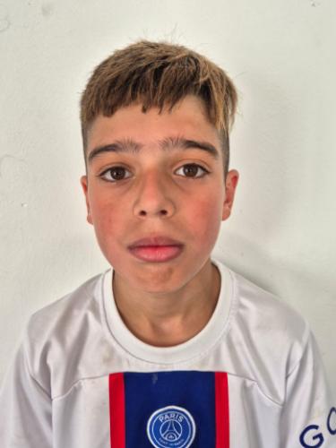 Armin Mosamam