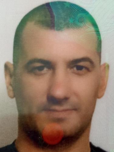 Dalibor Mitrovic