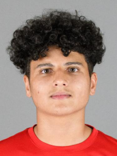 Mohamed Awada