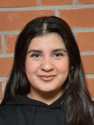 Marveen Dirbo